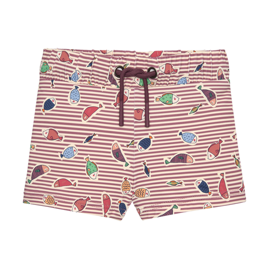 Boxer peces Waterlemon