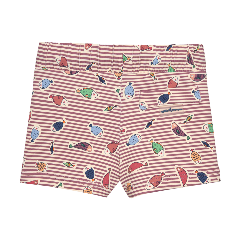 Boxer peces Waterlemon