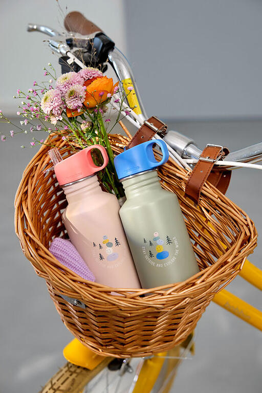 Botella agua ACERO INOX. EXPLORER ROS 500ML