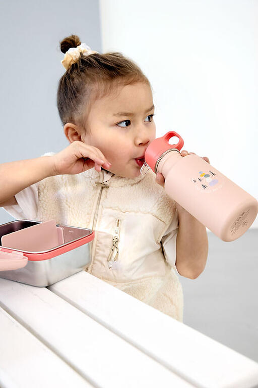 Botella agua ACERO INOX. EXPLORER ROS 500ML